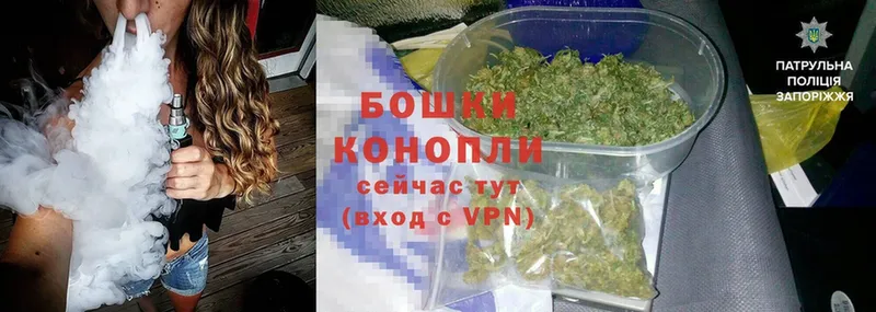 как найти закладки  Дмитров  Бошки марихуана OG Kush 